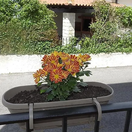 Pensjonat Do Senhor Da Pedra *