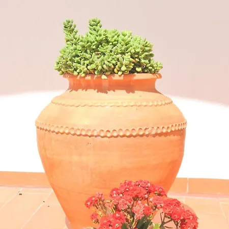 Do Senhor Da Pedra ゲストハウス