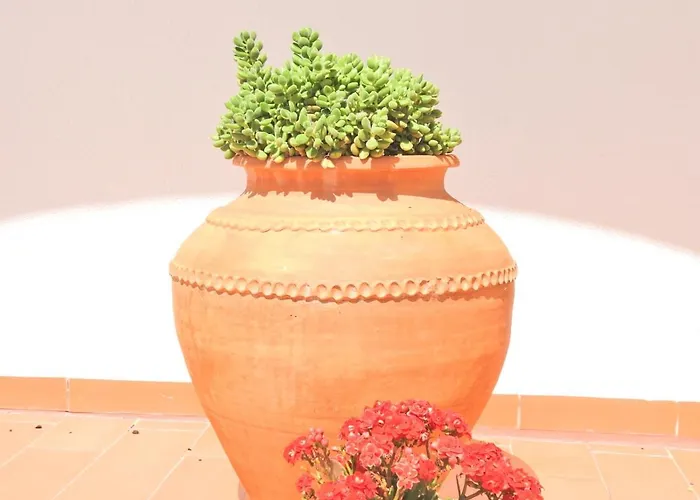 Do Senhor Da Pedra Casa de hóspedes